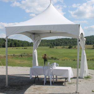 10X10 party tent